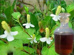 廣藿香油