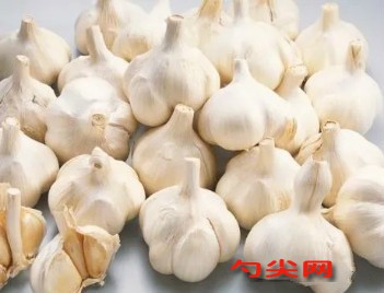 微信圖片_20200503173107_meitu_2