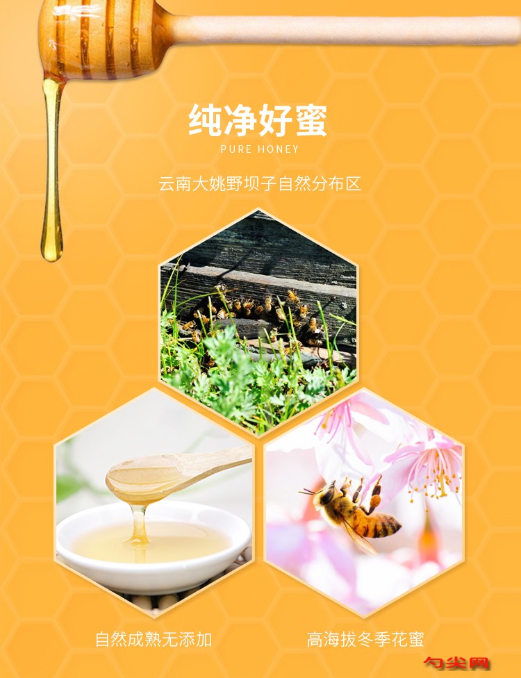 蜂蜜11